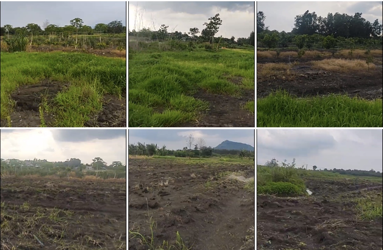 z6549027003643_c987a189600bf93a256b20456d917ab4