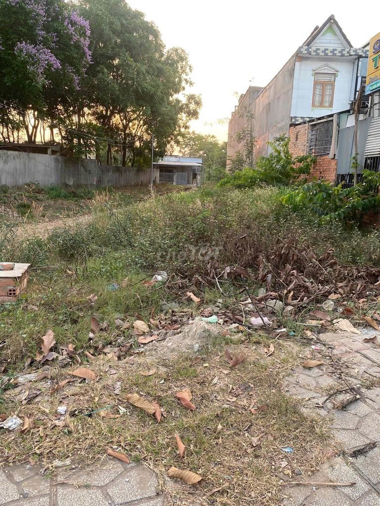 z6549104250436_d172f6c3e5312ae684319fc46221075d