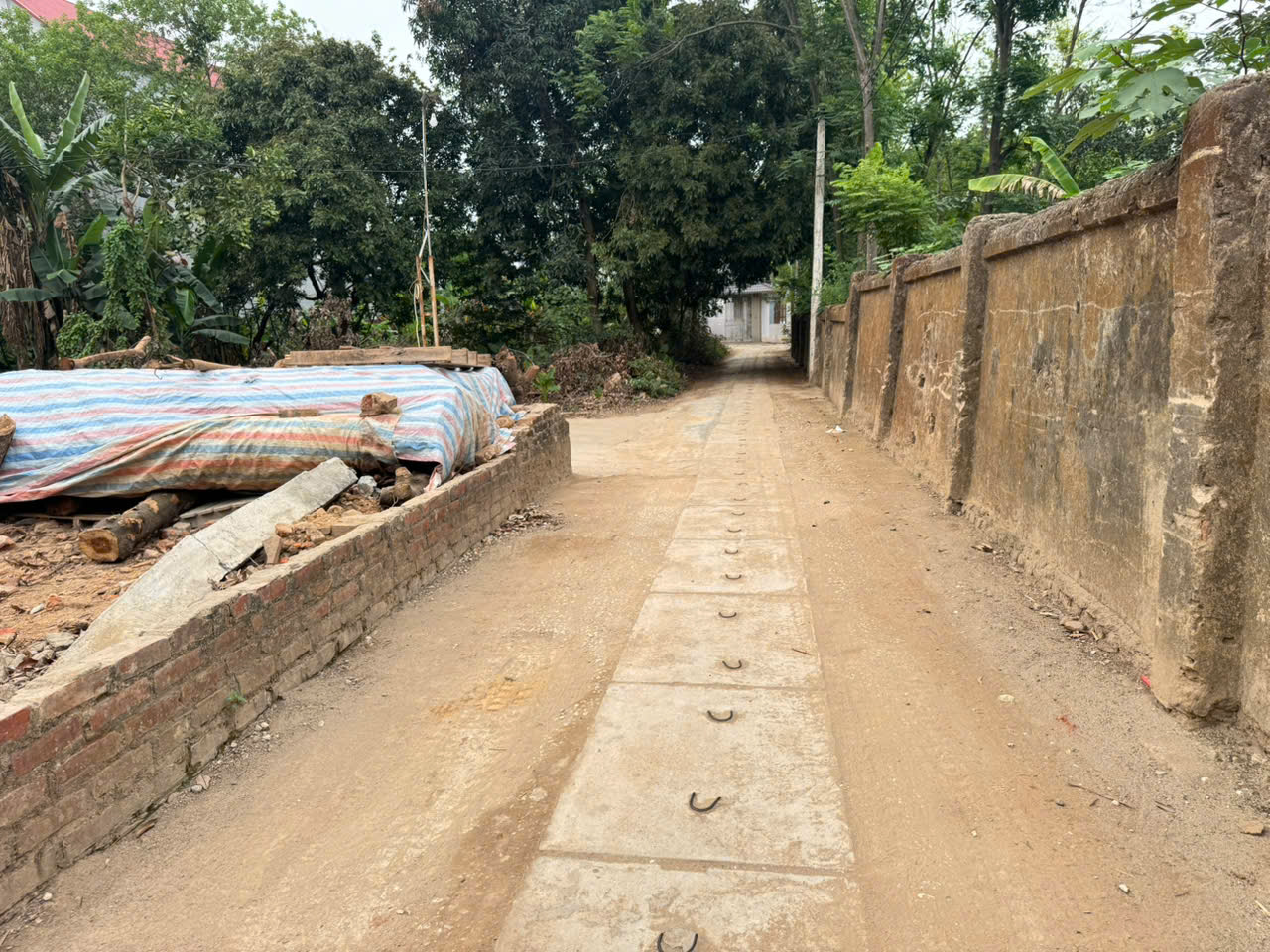 z6549797185256_8dad47e9b7252d6b95e6e0a386c5af42