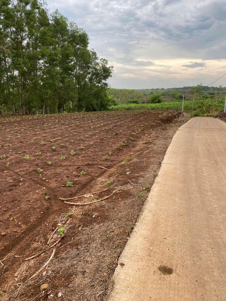 z6550997990713_fd556984a3e9d369b239074905b47829