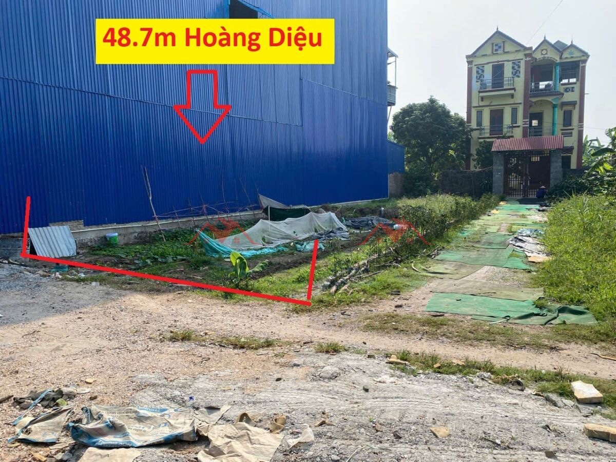 z6557822684967_ce4c54151a1d78a08b3f50f2c790861b