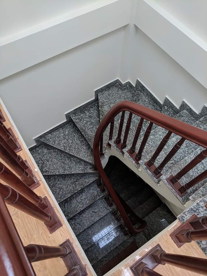 2d7afc4b5288b4d6ed99