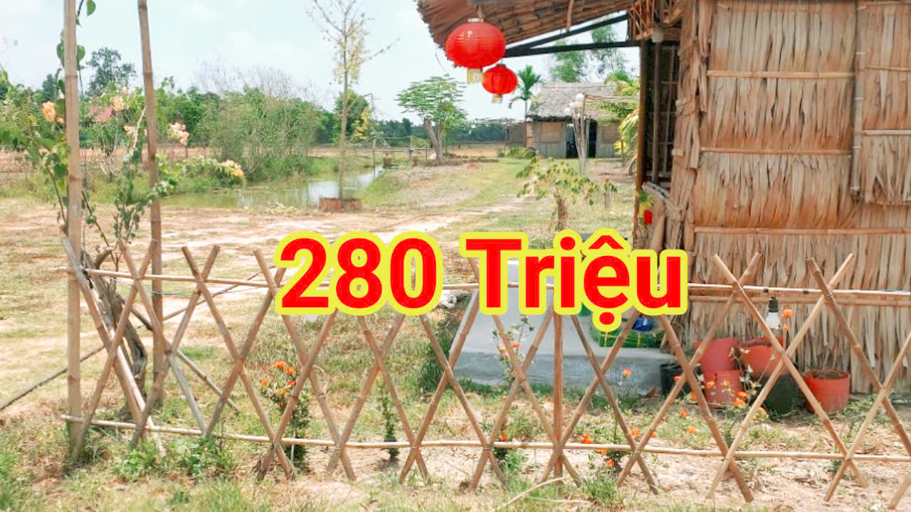 2e69e0726296d7c88e87