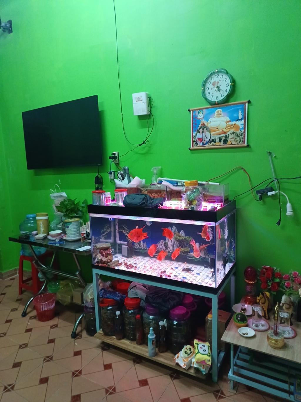 3gf7-B7384633-m7p0jxh0_38_14