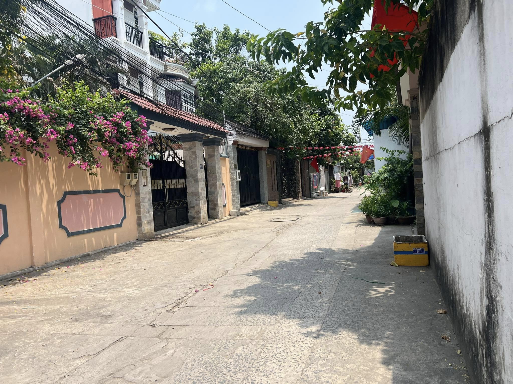 486081480_1278189433273011_8650424482326908717_n