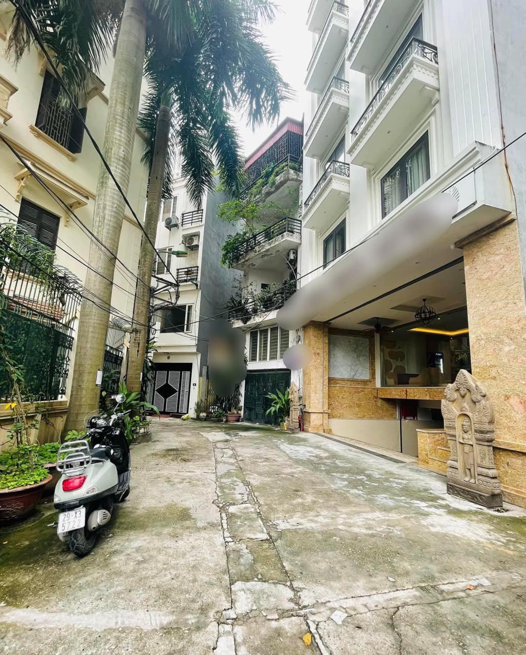 490365692_3065179663646386_6593691789248884706_n