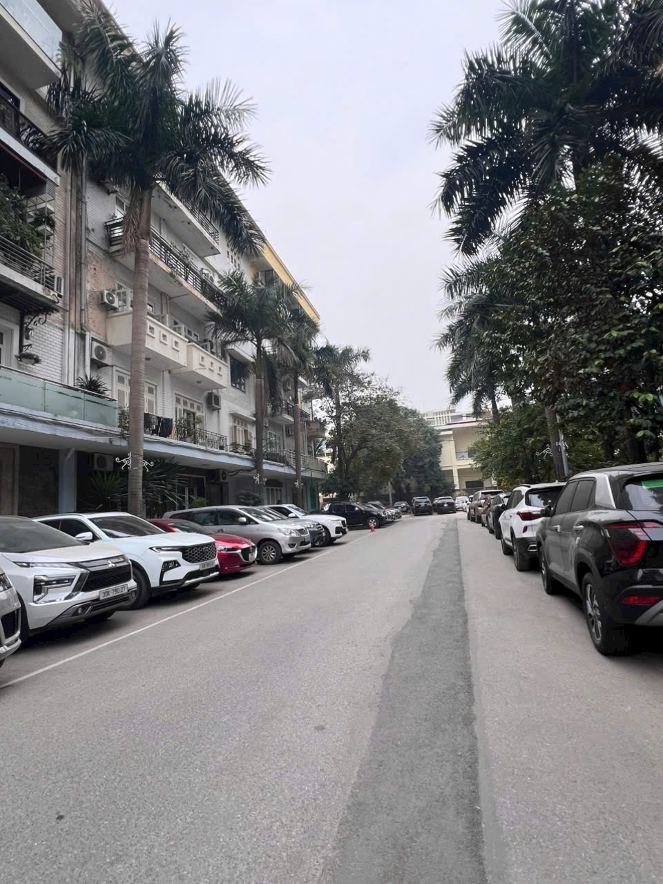 494094674_1065322205523407_6246899015496748351_n