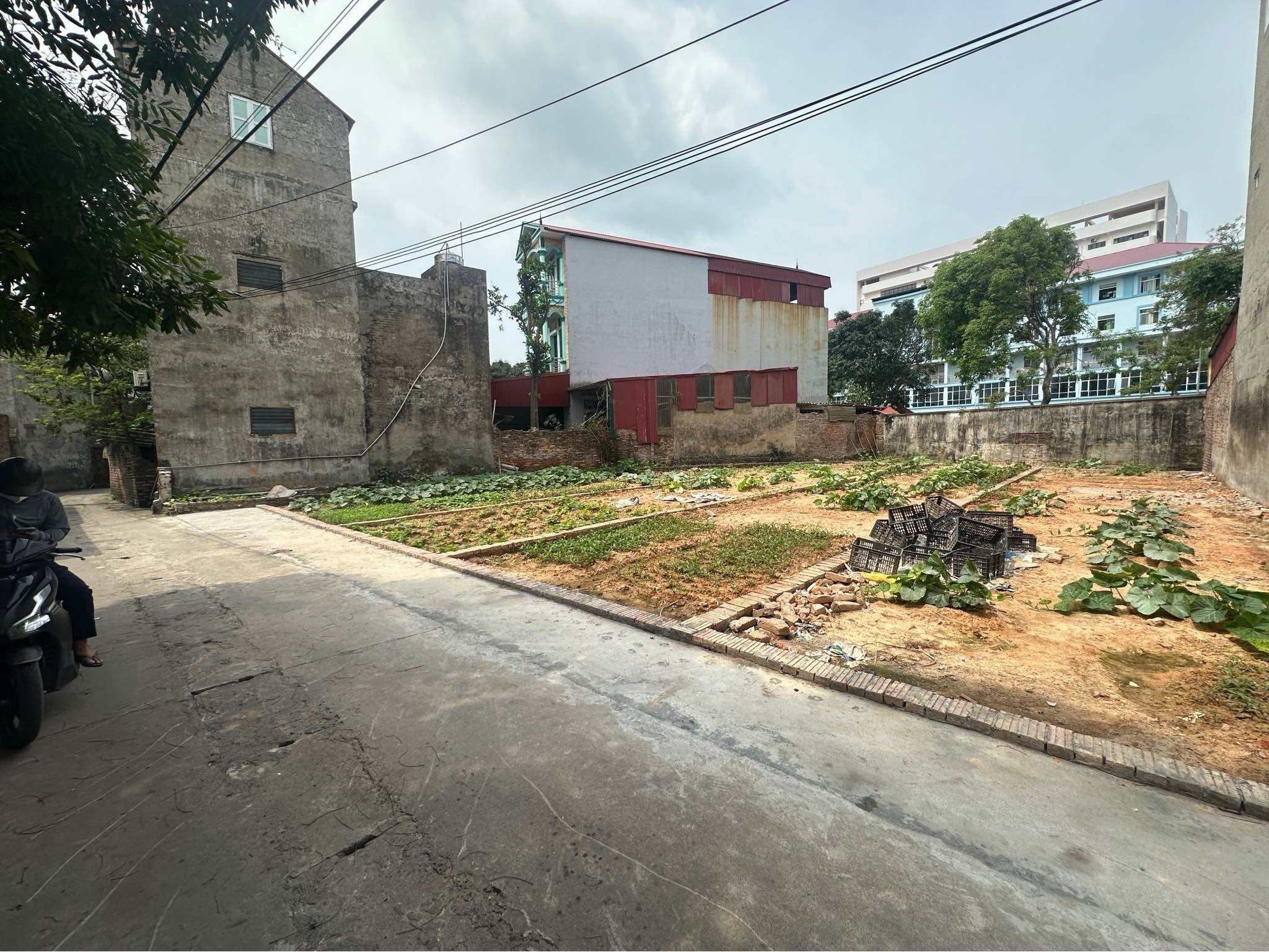 494679880_1237206544661863_2150750271662709409_n