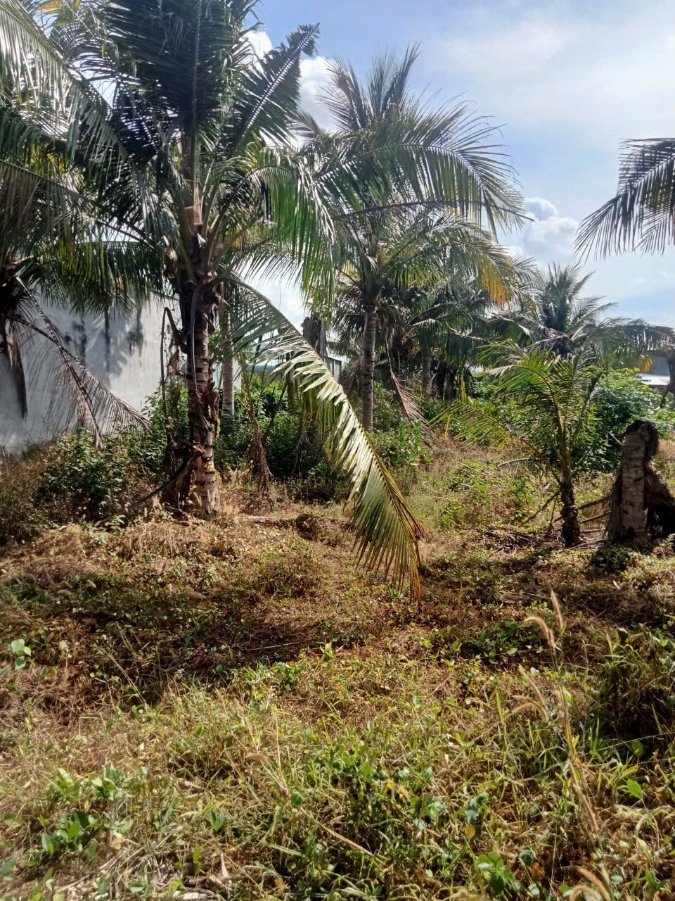 495151992_4956745951217878_8466880161214819985_n