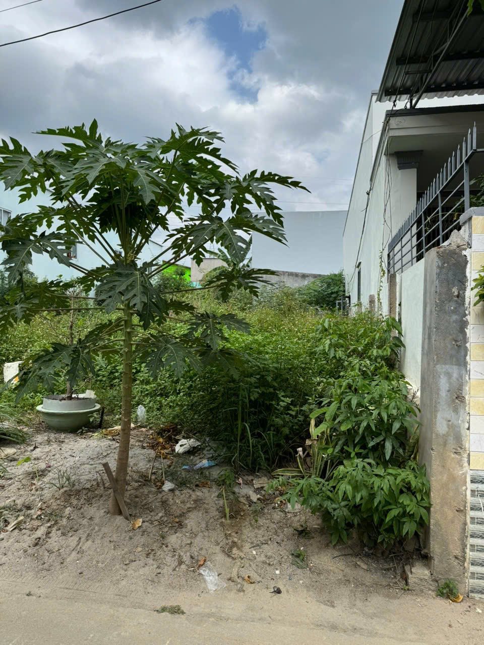 501019877_4393504027641520_7524004009707844383_n