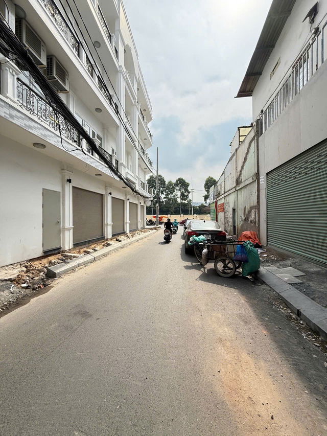 8caca79e-7288-5a17-9dd6-b979600e489d