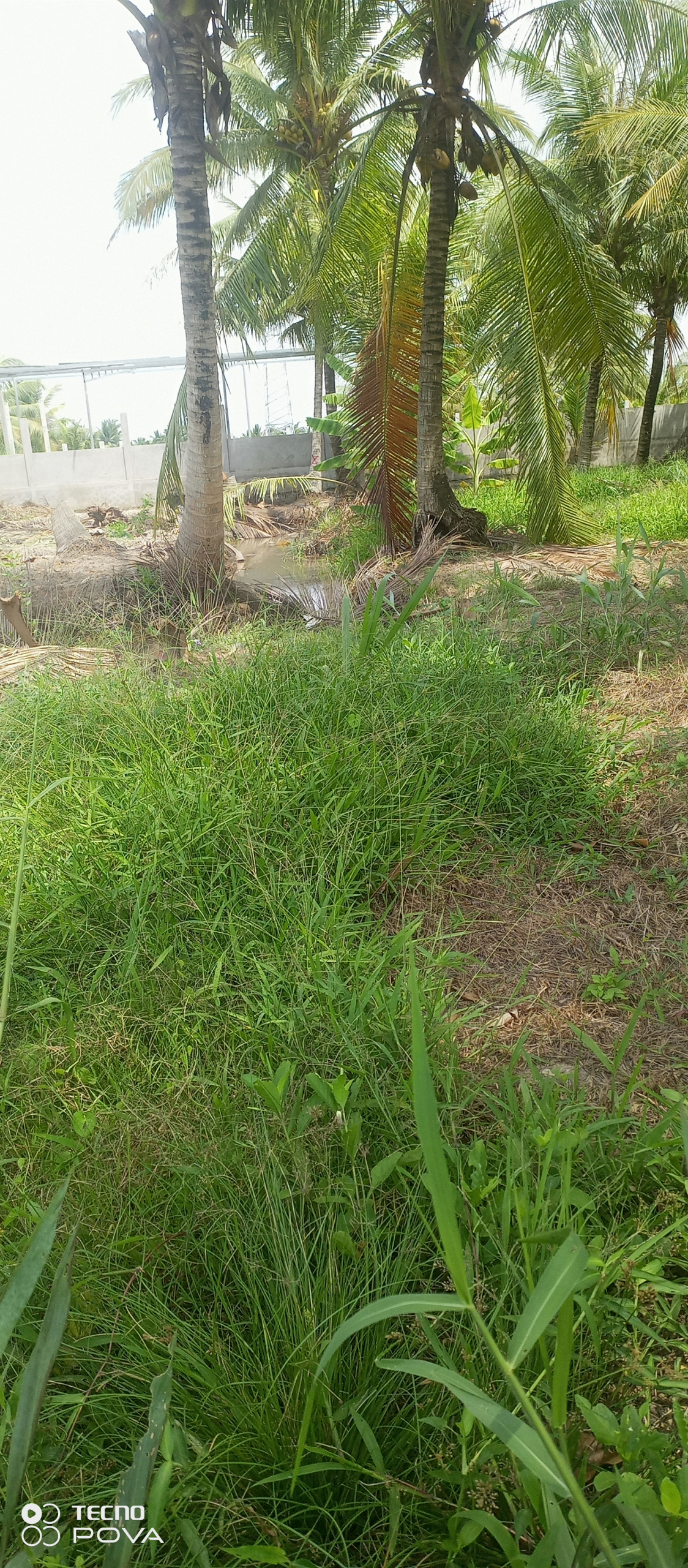 IMG_20250520_104808_010 (1)