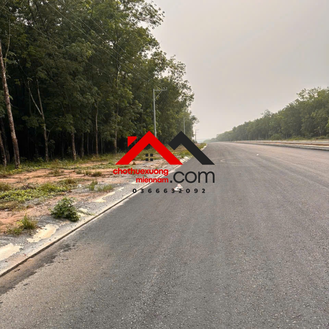 cho-thue-dat-duong-tao-luc-phuoc-hoa-phu-giao-binh-duong