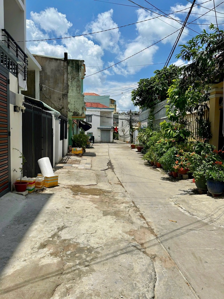 kcy-989E57AA-mam4sowy_50_15