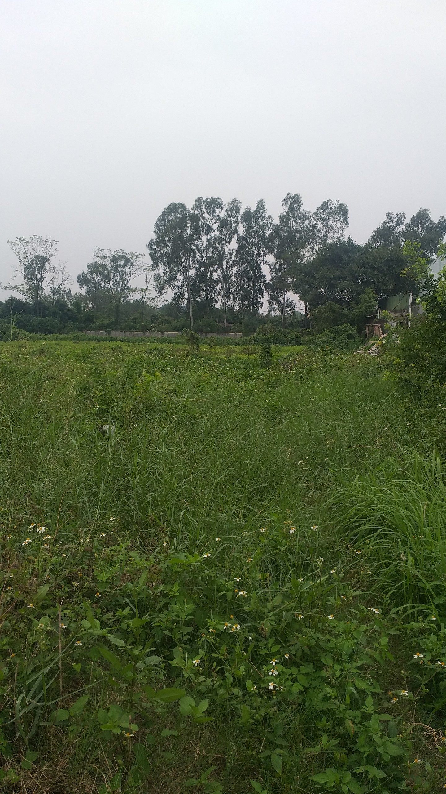 z2207868204342_6470c29eefeddf4329dc2ae7d01c0af5