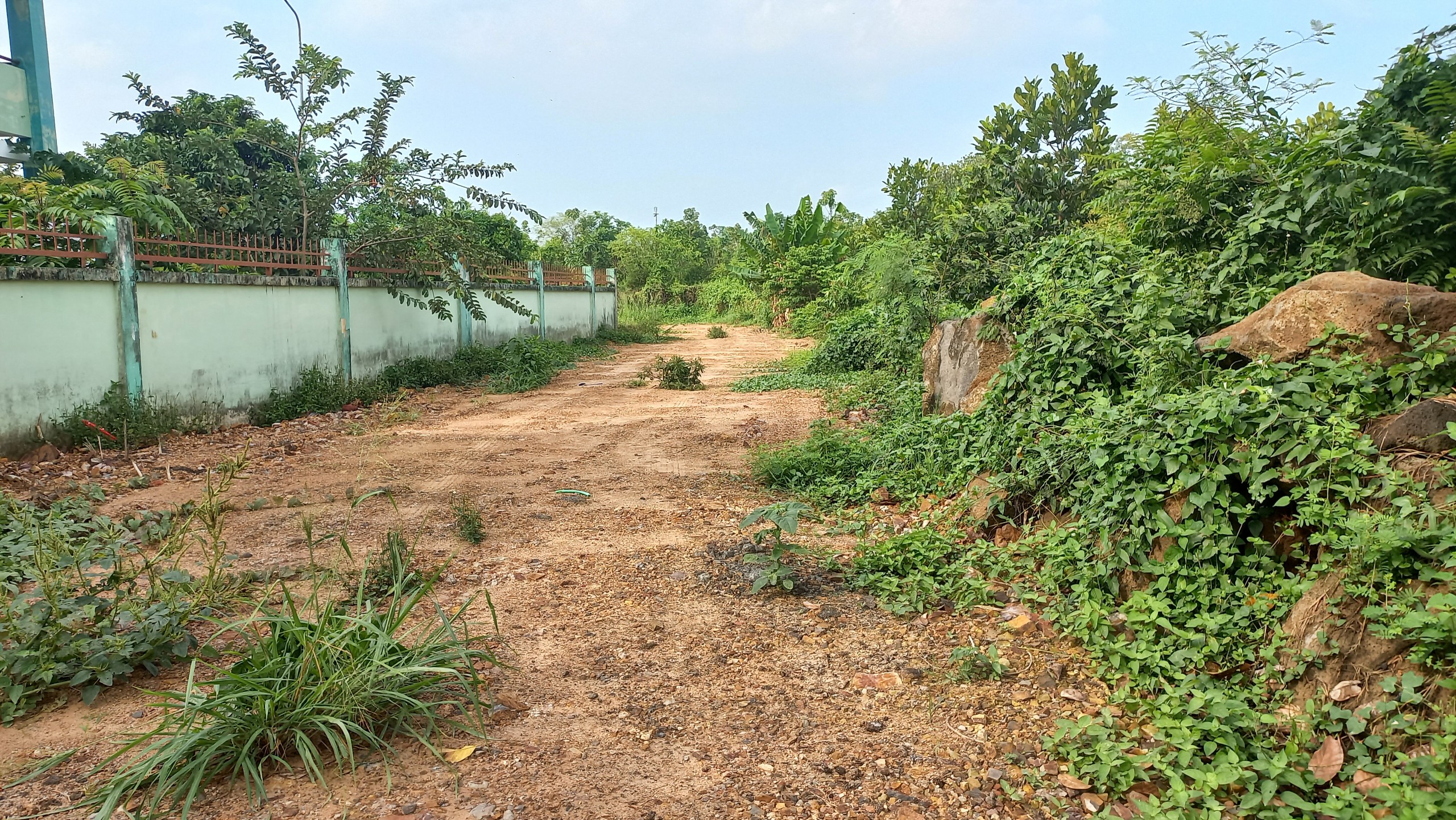 z3383585098965_50f543342df2dfff104797679ecce0d0