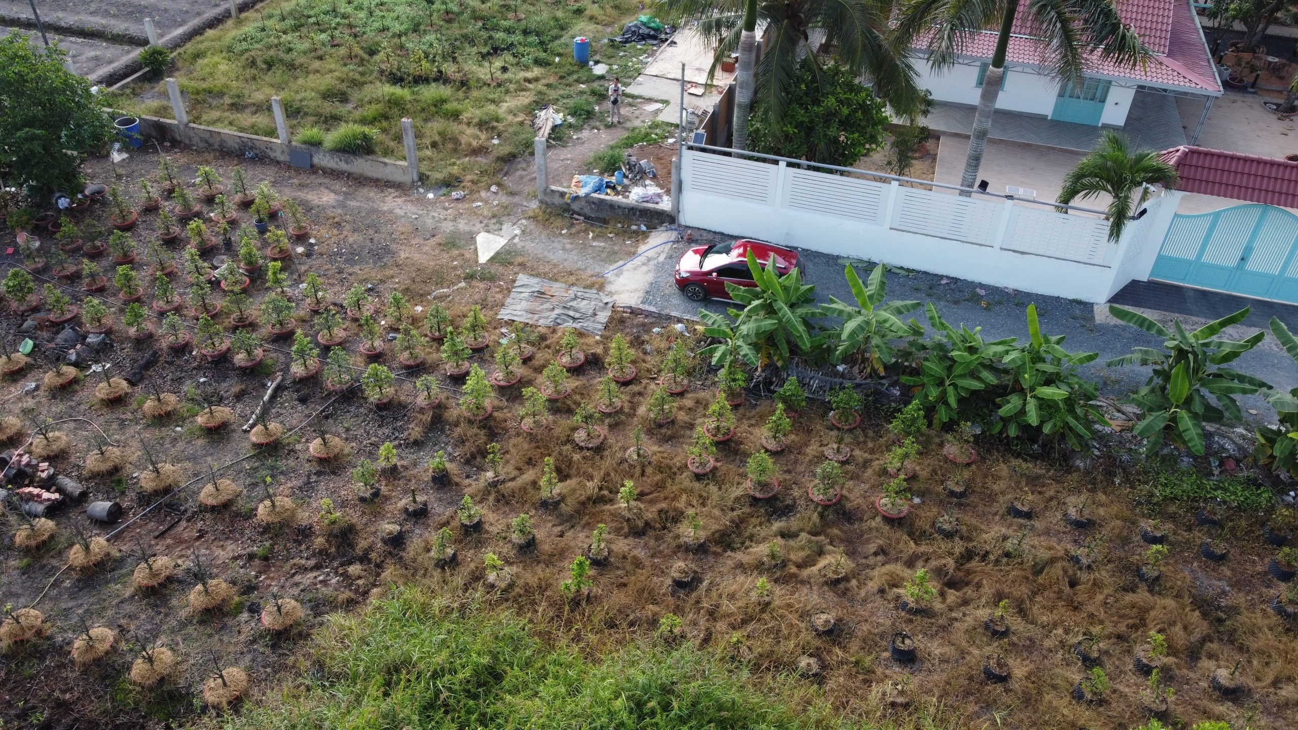 z4203466833037_11c7e848fbfefb3dbbae5a113c90ea2e