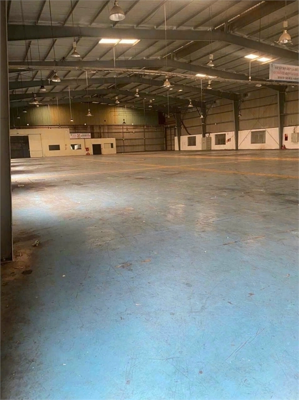 z4493378117892_fd6fcc9068508ef686f7d582411d7520