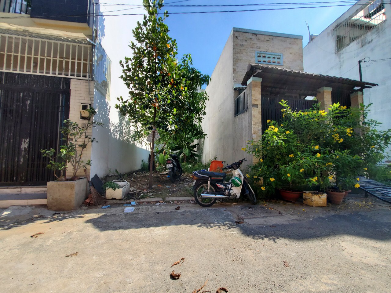 z5191747005308_fe73f4545286918c6328f74acf2bb3a2