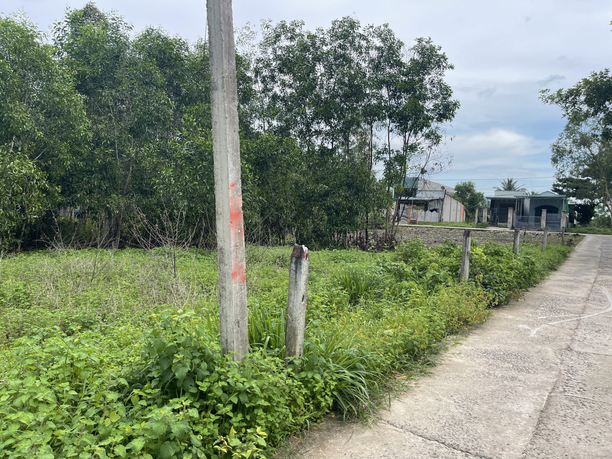 z5614641024078_dd3bf18fba66549bfd12ddce68a5e29e