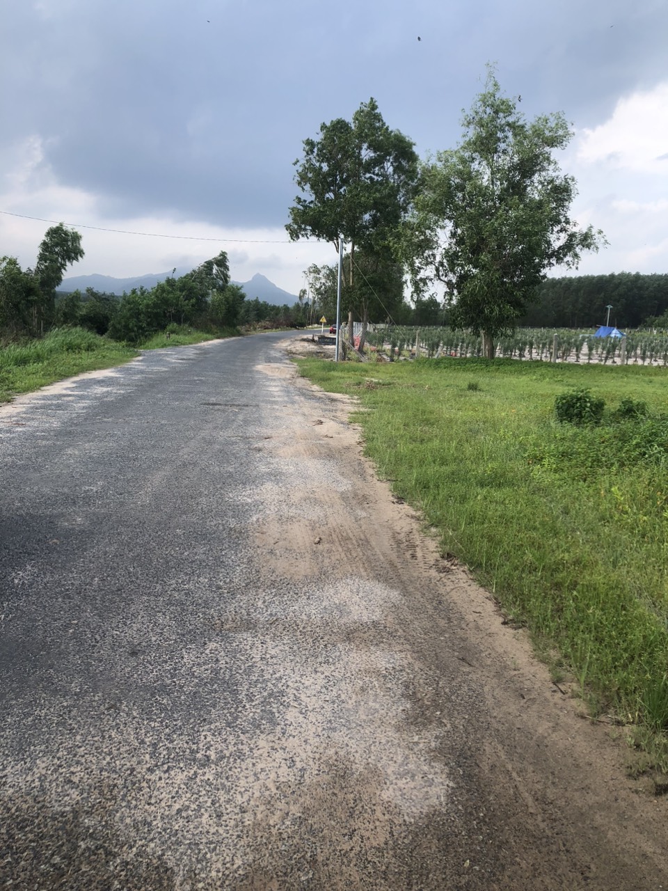 z5664285821273_05131775184b6ae148845554cc9ba6d2