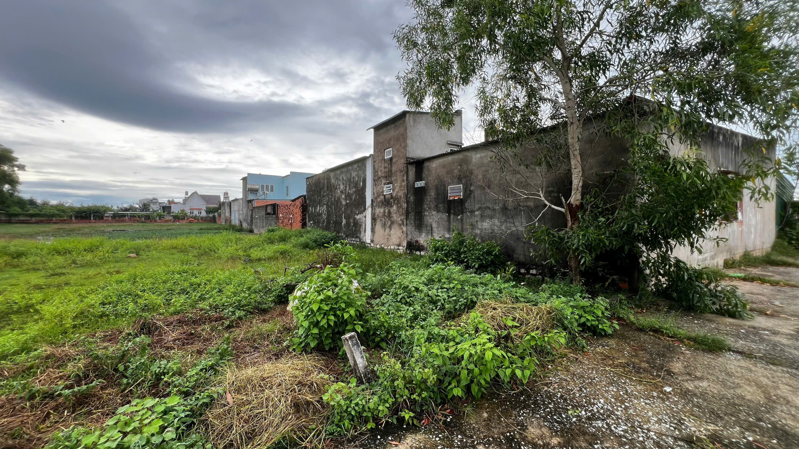 z5798637664182_ebaedcfb29520464cdd0428acade0da5