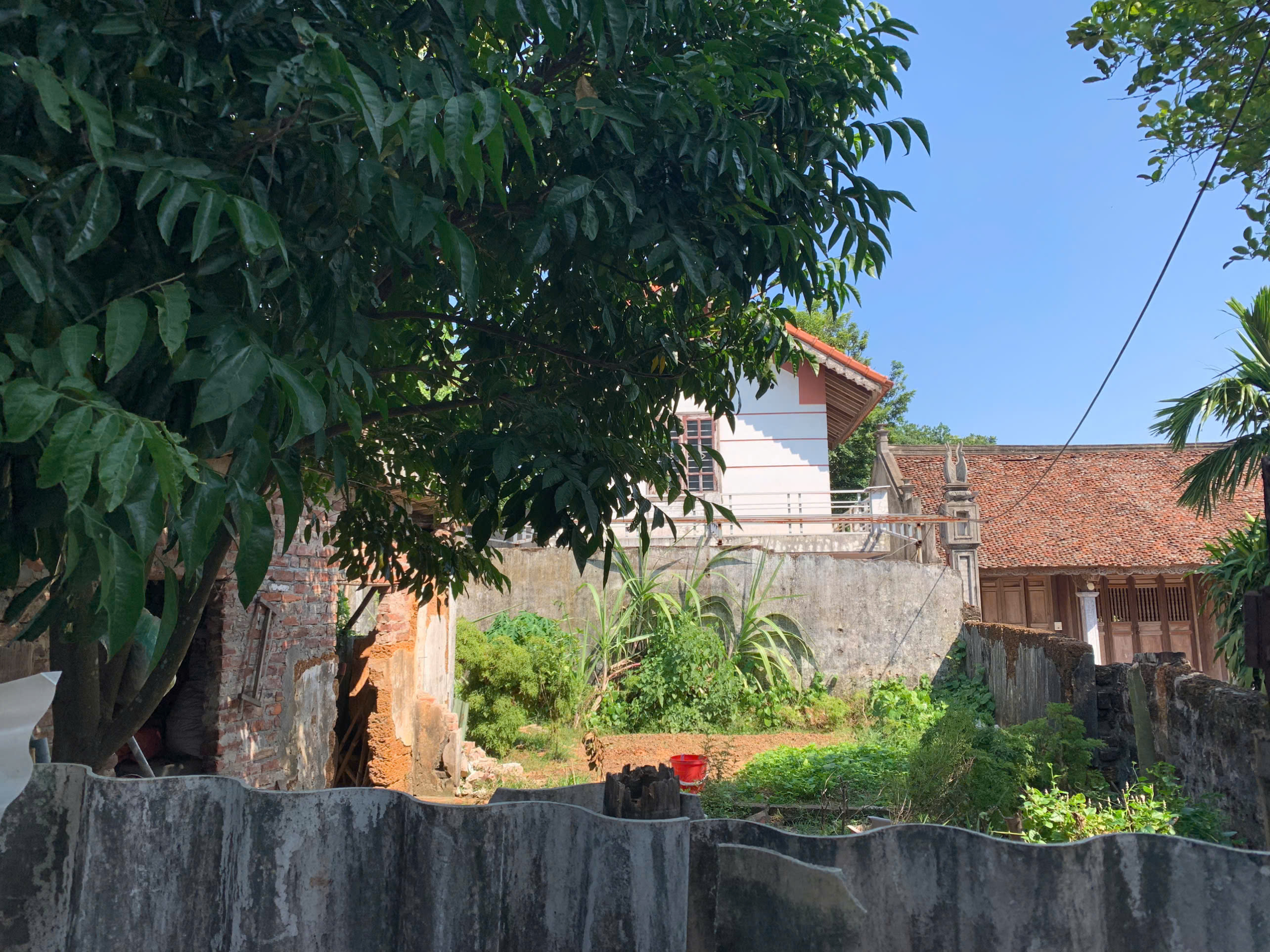 z5988454599141_37183197c446b2482fb85755442fef56