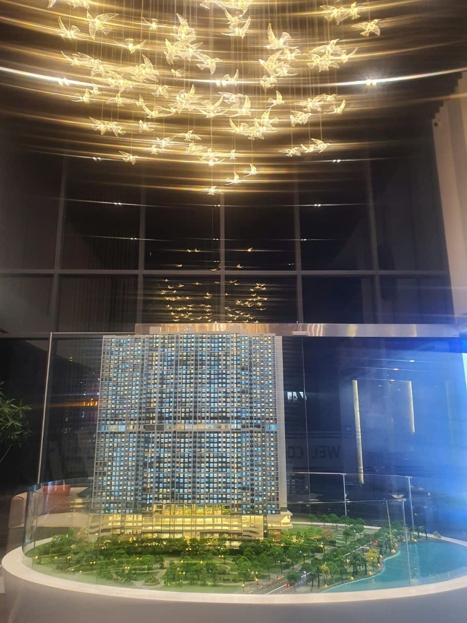 z5990596548379_af8e6ba37750d39dd939397e6523172c