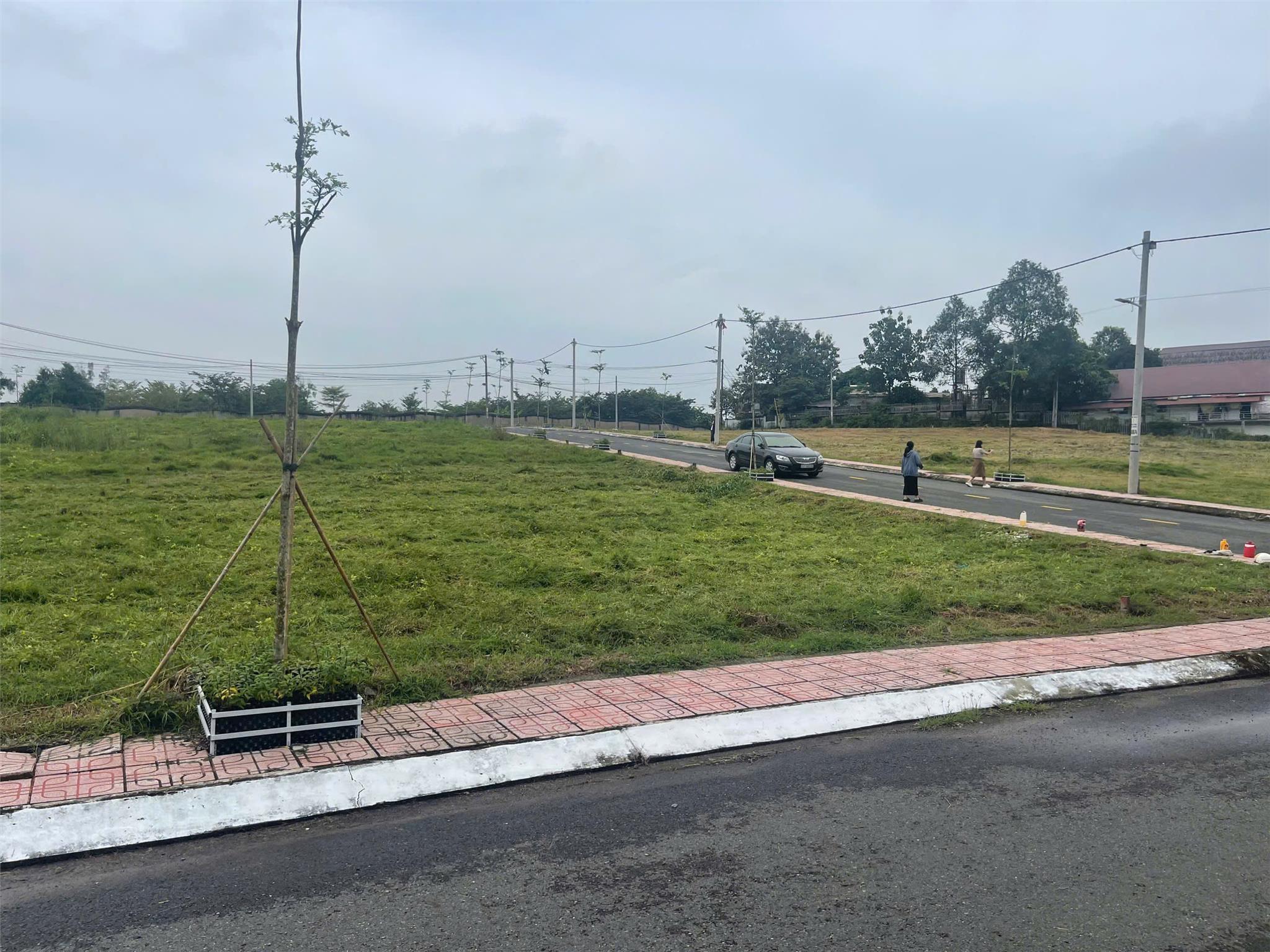 z6398381667443_ff7b8698582218f15f0195eb5d56ec94