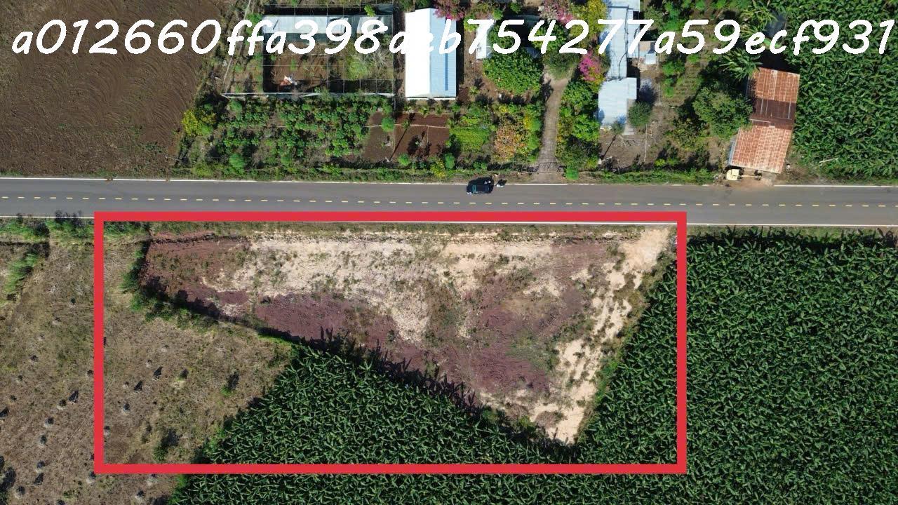 z6408371813488_1e9d8f8fc35792db092a390131139f93