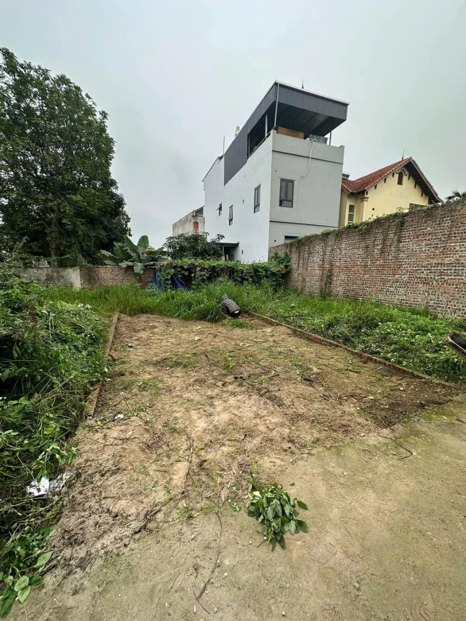 z6413932744209_3de343aecfd3310b90c9bb9fb91aea35