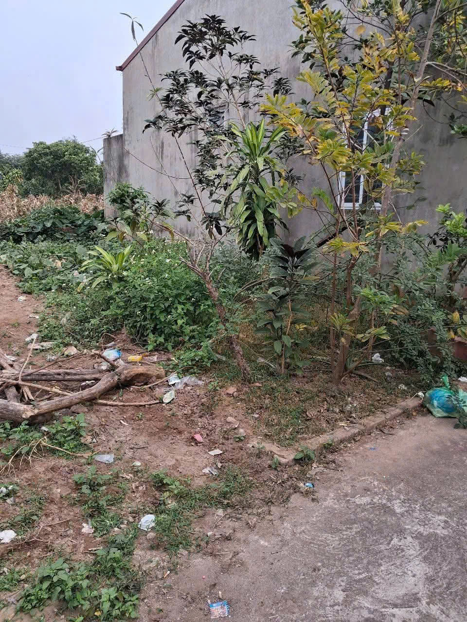 z6425471227157_cb6959d3a21fe5565c3445d401672e4e