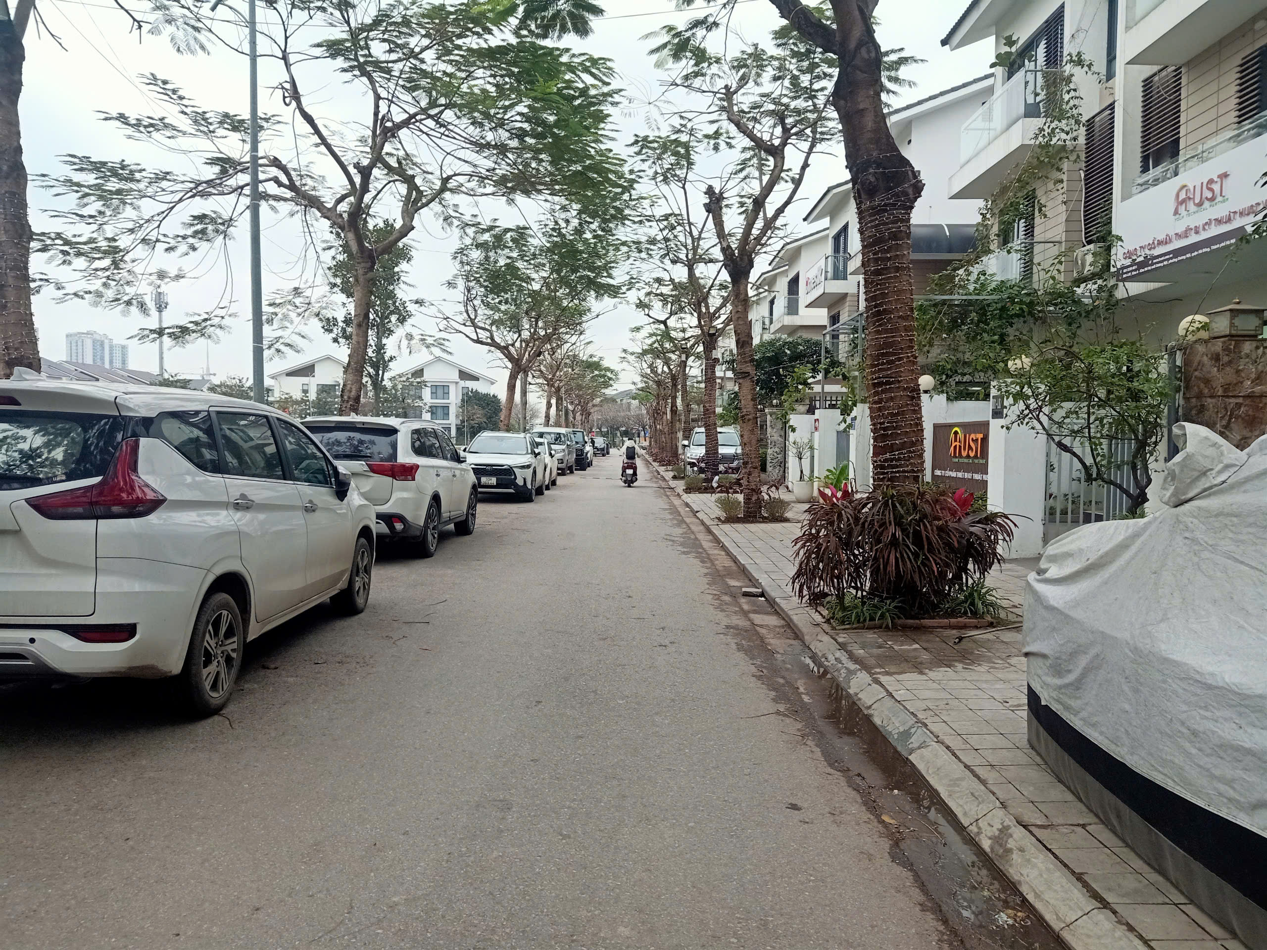 z6442597049056_b60590dec271d5c4323b6869914e693a