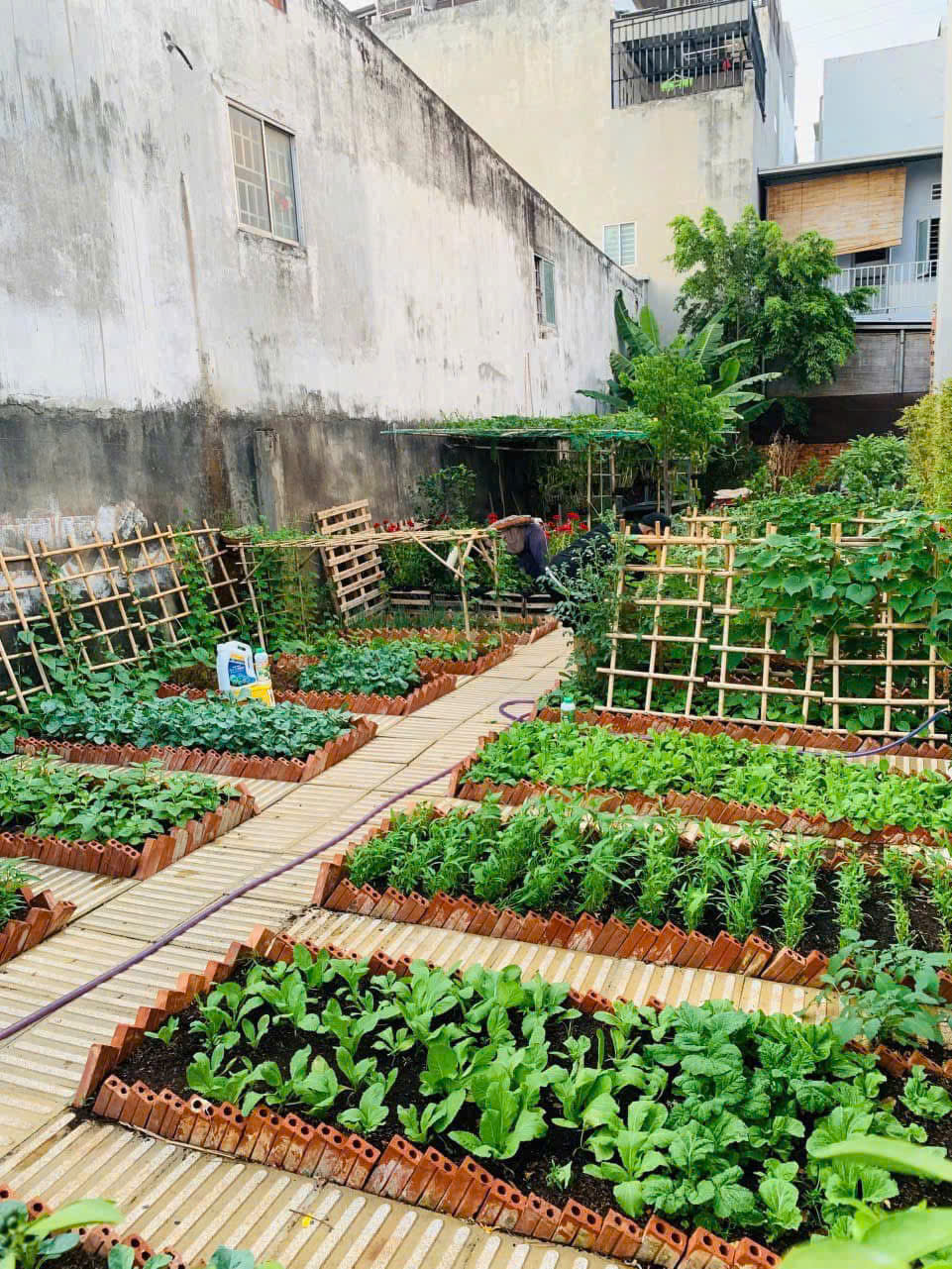 z6510442877316_48a8da75512d470f76bd6eb5dd782211