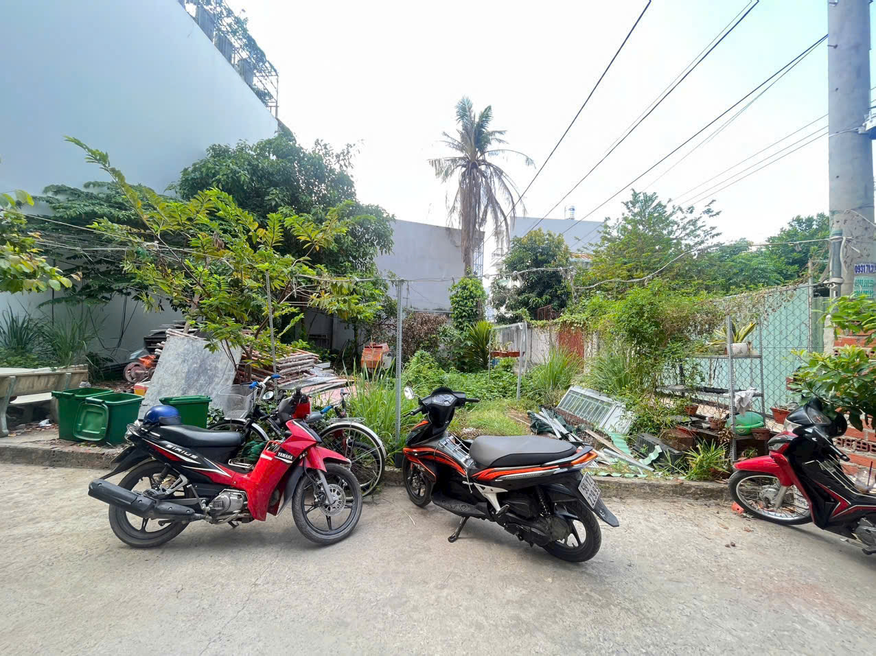 z6529915287881_b764ac0abb9852a95d0220e556c4bca3