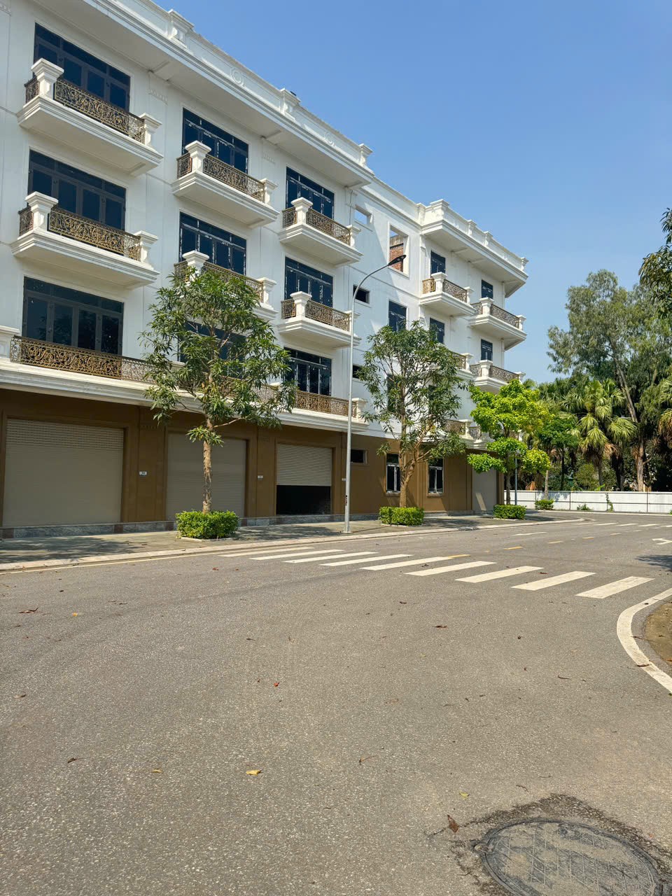 z6532597643854_51374b044efc95b6a9fbd24b49982959