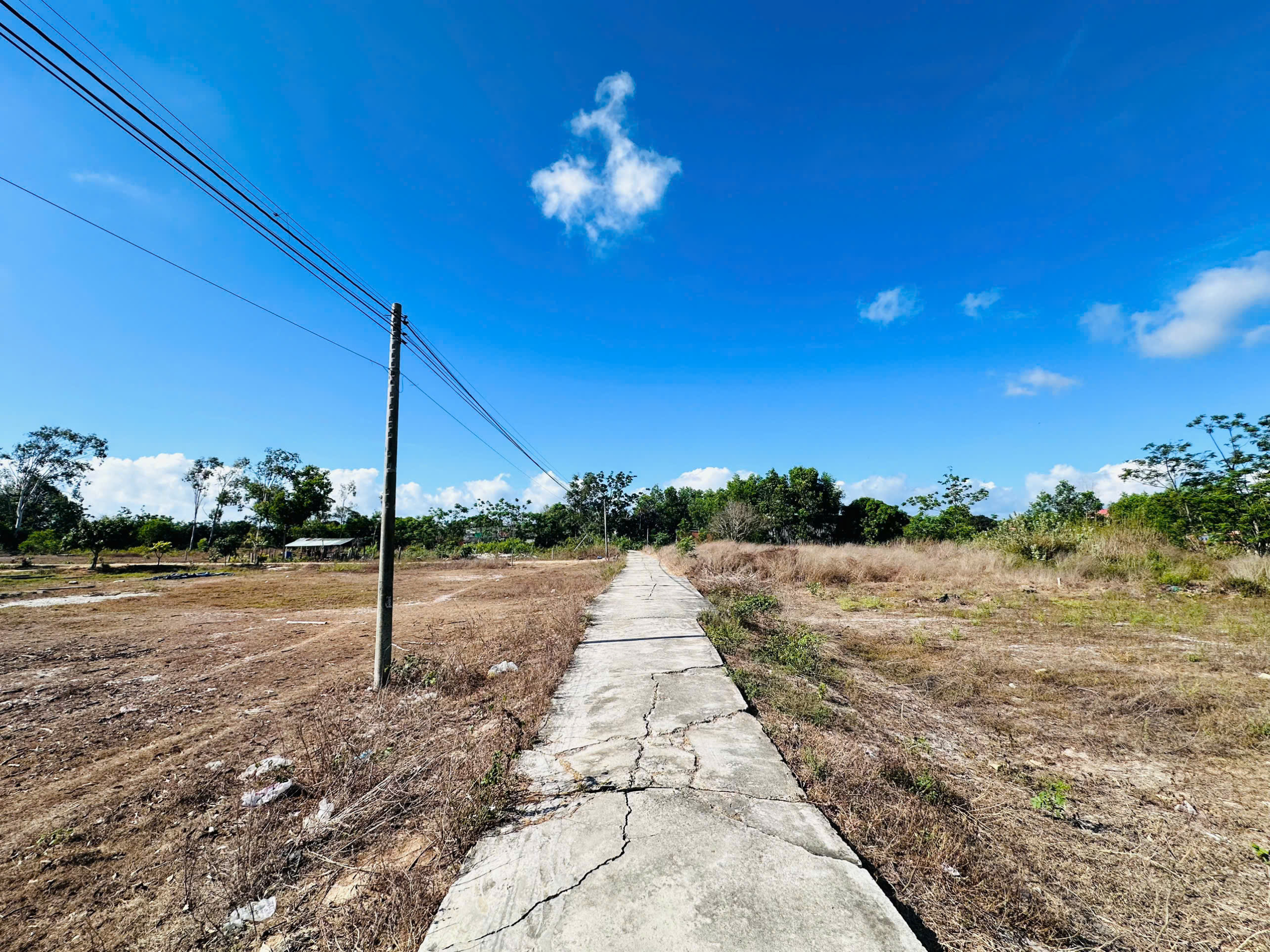 z6533073579950_127e8cdb07a5110a43e763f537cc1db9