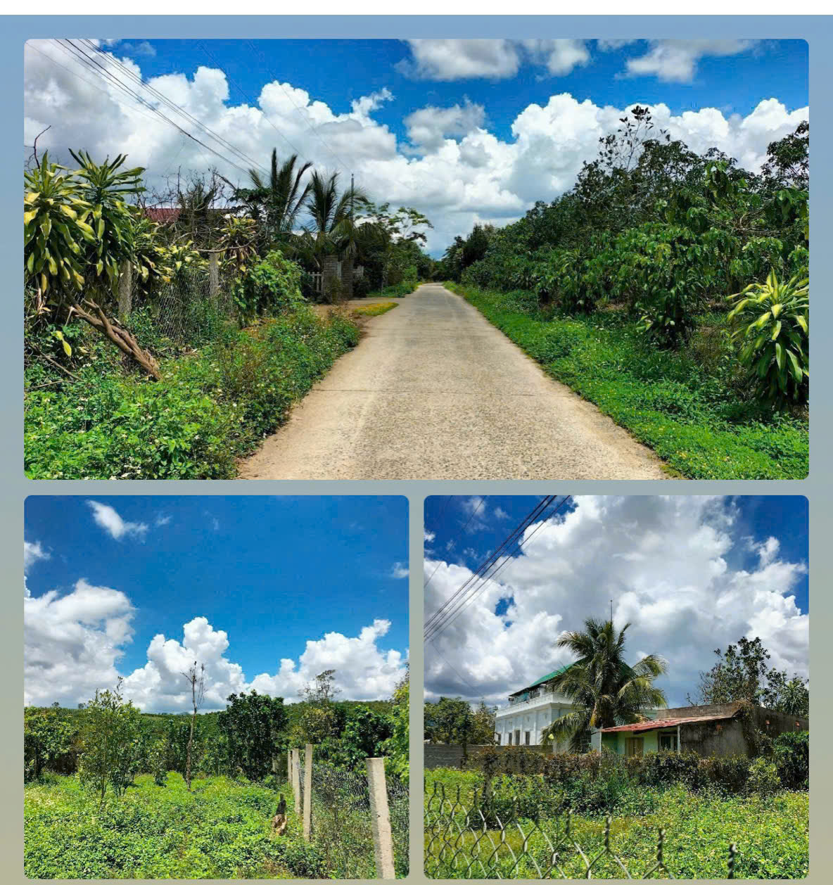 z6536484941397_b504abbbbd75b22c0186752170b39524