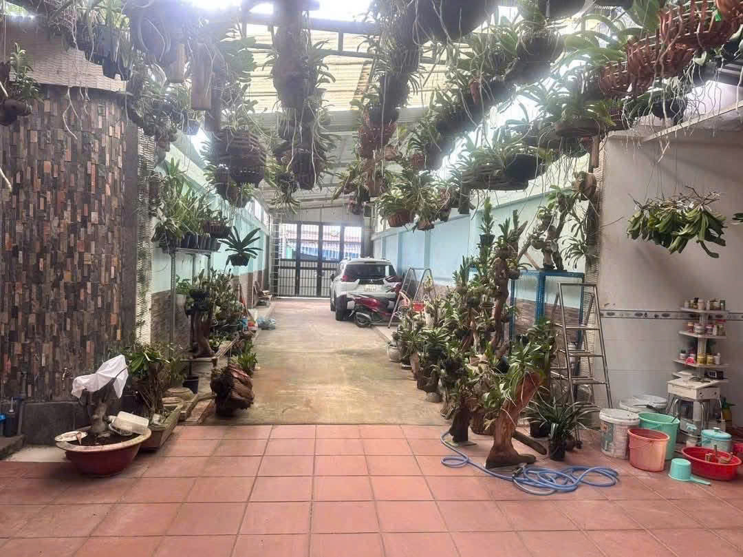 z6542786851727_156da3c681ab2101cfbfbfa68660837f