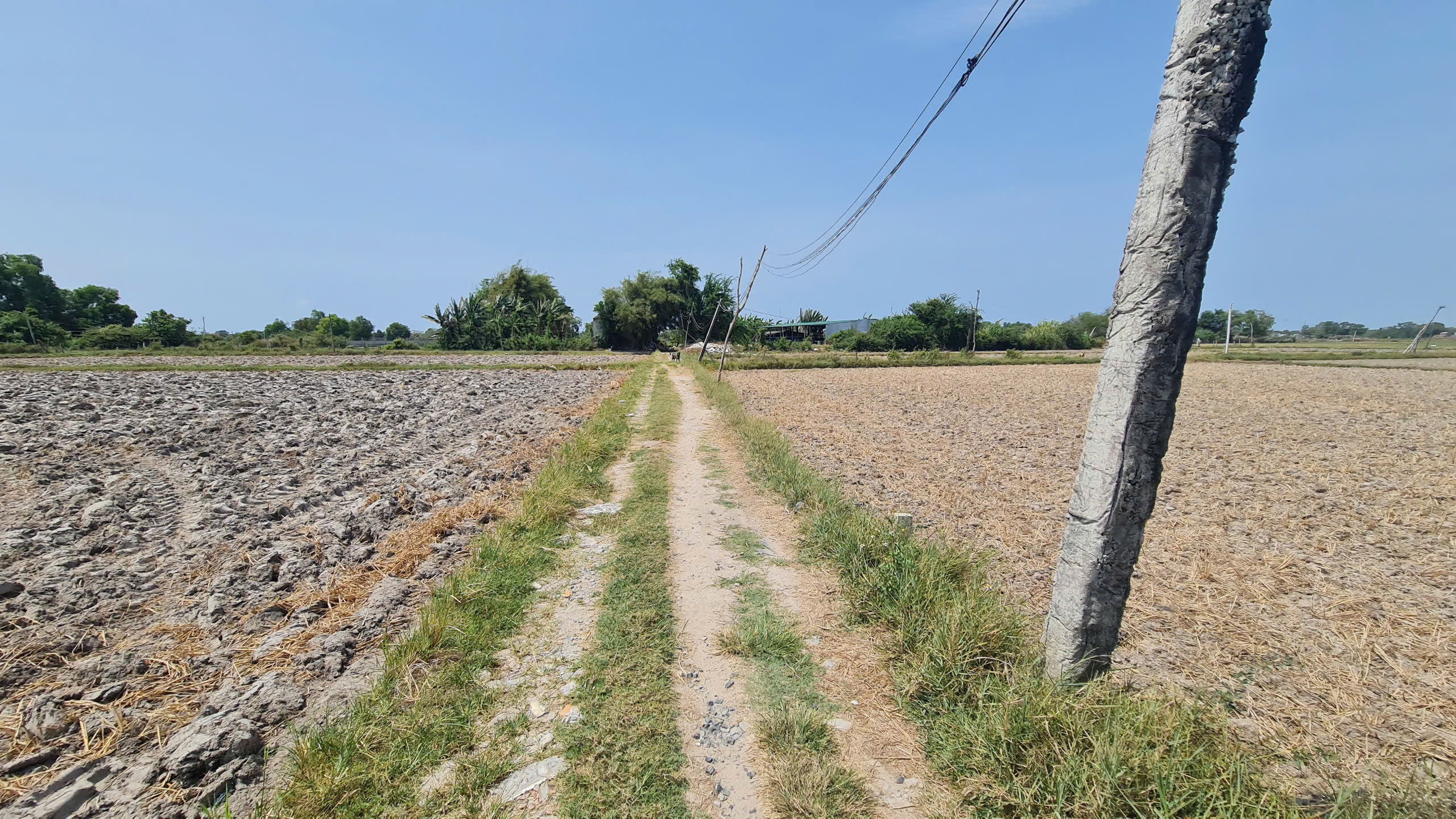 z6544016587948_a9bd3128cb57b013fbeb8d86c165dcdd