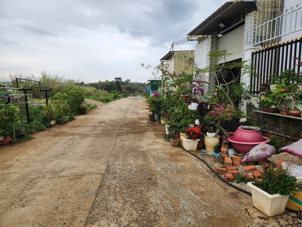 z6558487473539_c5ccc69f9935e2b65e274b4b37a3a76f