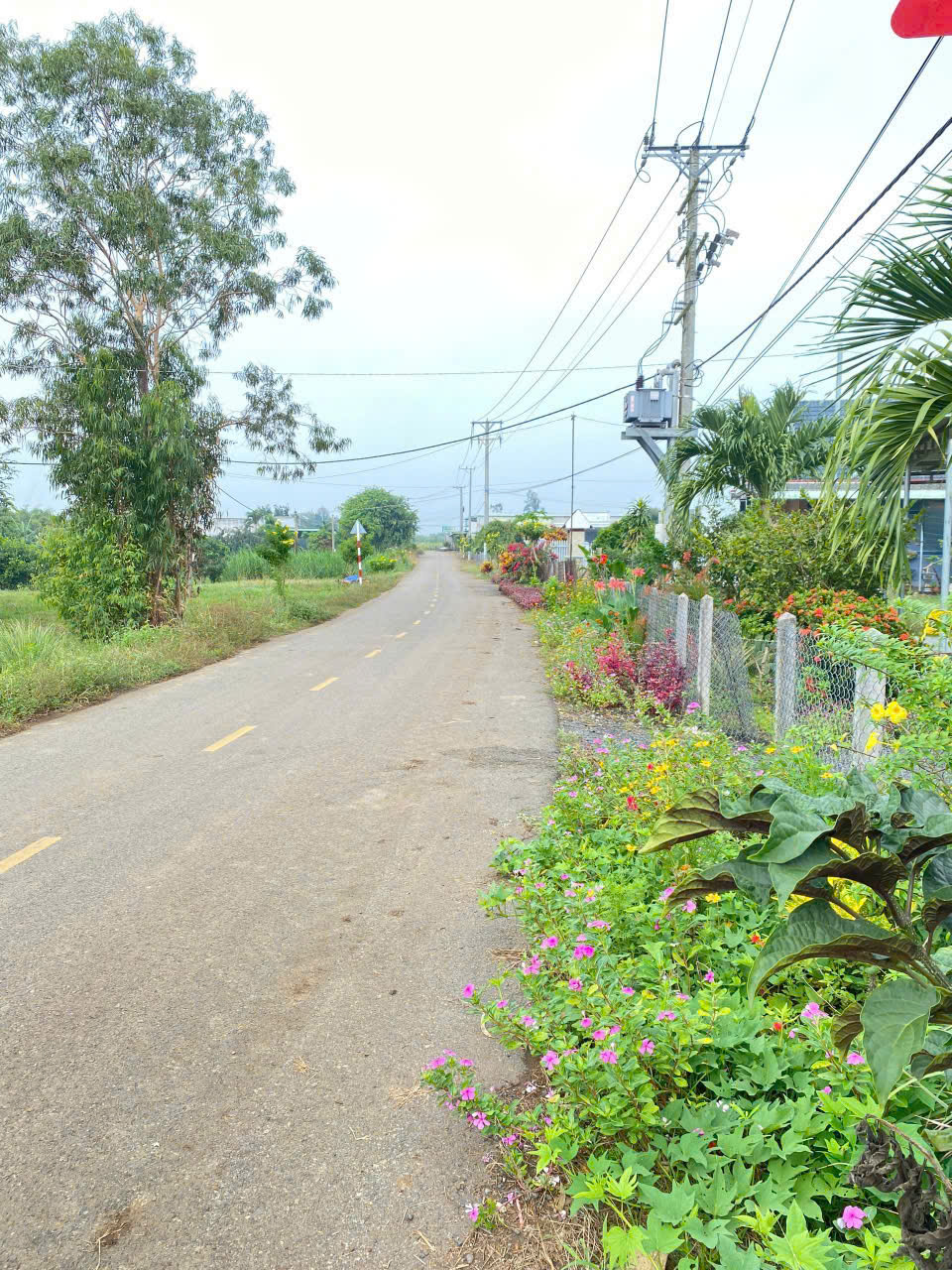 z6560655399799_7d7a9d020d5b398c8003ab20b8cd6463