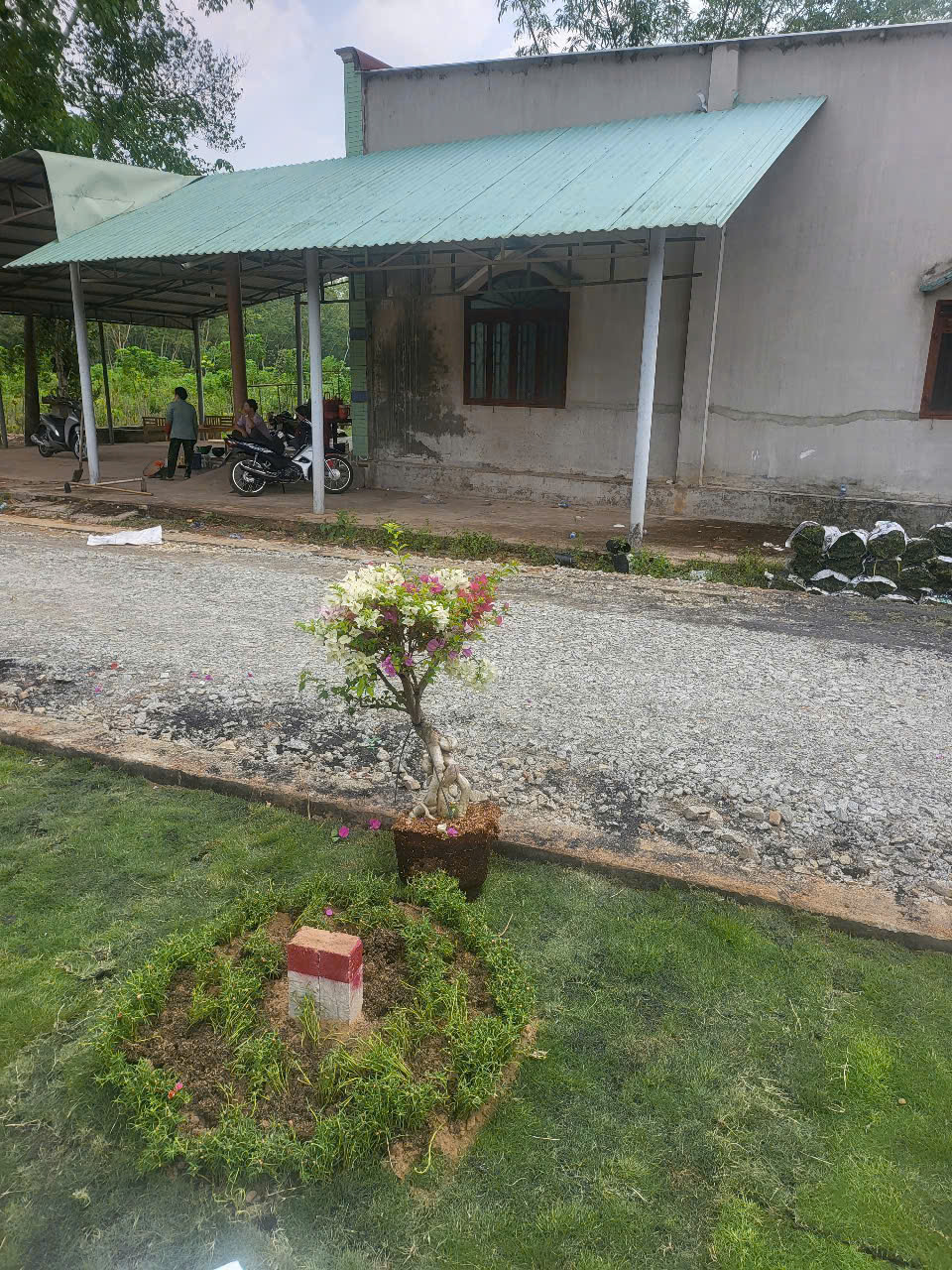 z6560655585535_a5353efe8a33501e6285c89948912801