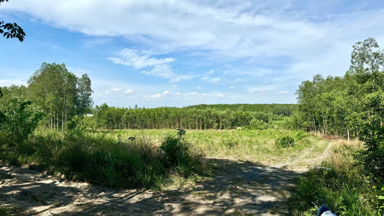 z6560831472951_fc766a29faa885bc3e90bc0a18805a8f