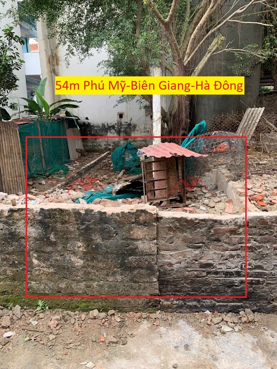 z6561256766063_6058e2330751d9258ecf8d04f4e44f15