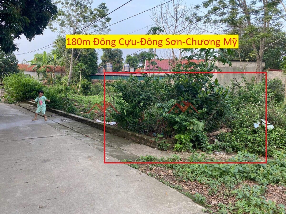 z6561274376940_deaff37a425a3fd6bb97bf7048cde100