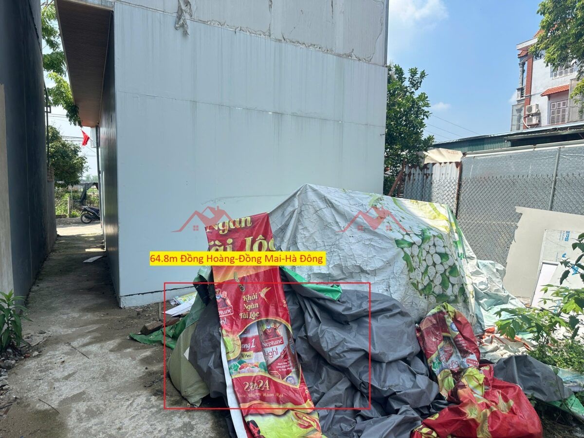 z6562967695345_695b6901833af86bdd88c689a2349ccb