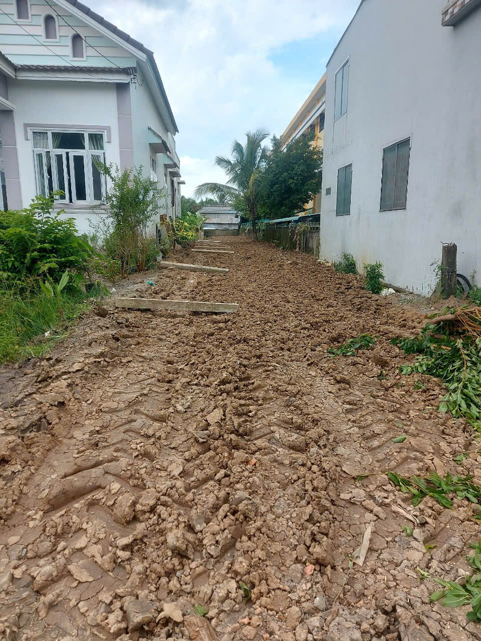 z6565544513633_dfa1d4f044963b1b9f02fe47d342766f