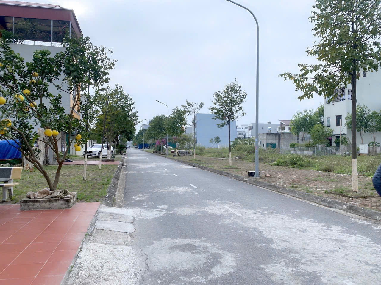 z6568878219168_c23624b412e82bc0f41c5037a47963f8