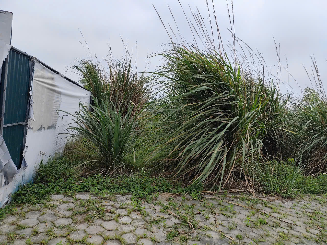 z6571653600662_ae6ec199f0b6b4f68cc651ec53403de4